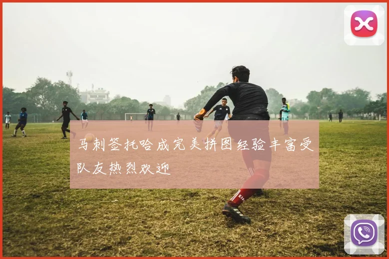 马刺签托哈成完美拼图经验丰富受队友热烈欢迎