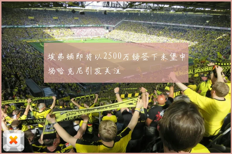 埃弗顿即将以2500万镑签下米堡中场哈克尼引发关注